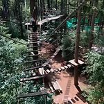 Luxe - Kindvriendelijk - Bos En Heide Chalet Harderwijk