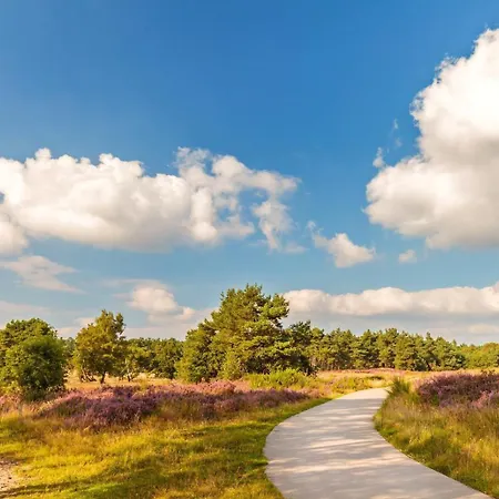 Luxe - Kindvriendelijk - Bos En Heide Harderwijk