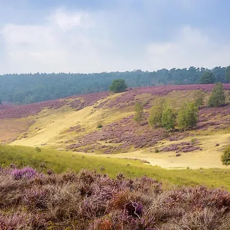 Luxe - Kindvriendelijk - Bos En Heide * Harderwijk