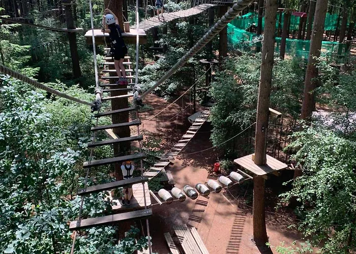 Luxe - Kindvriendelijk - Bos En Heide Domek alpejski Harderwijk