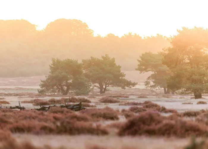 Luxe - Kindvriendelijk - Bos En Heide *