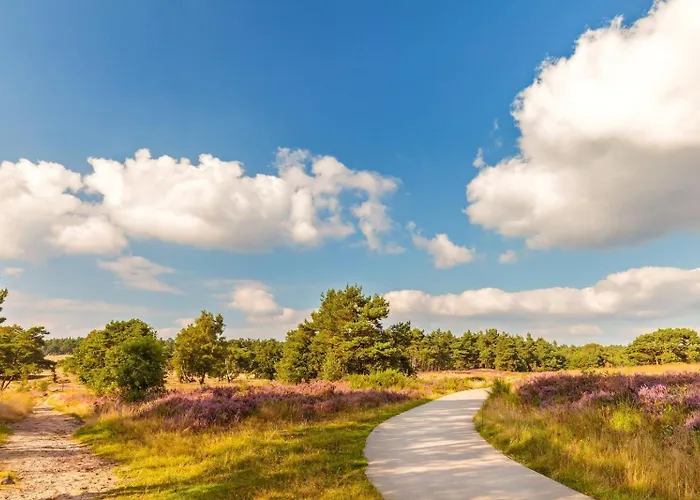 Luxe - Kindvriendelijk - Bos En Heide Harderwijk