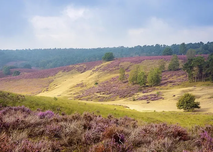 Luxe - Kindvriendelijk - Bos En Heide * Harderwijk