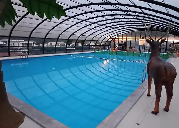 Dağ evi Luxe - Kindvriendelijk - Bos En Heide *