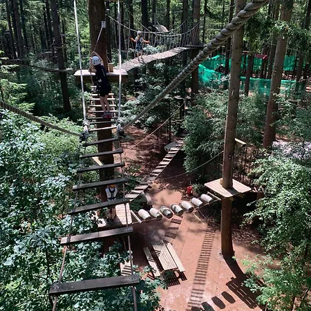 Luxe - Kindvriendelijk - Bos En Heide Alpstuga Harderwijk